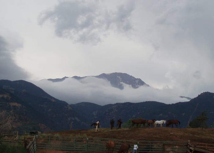 academy-riding-stables-Pikes Peak at ARS