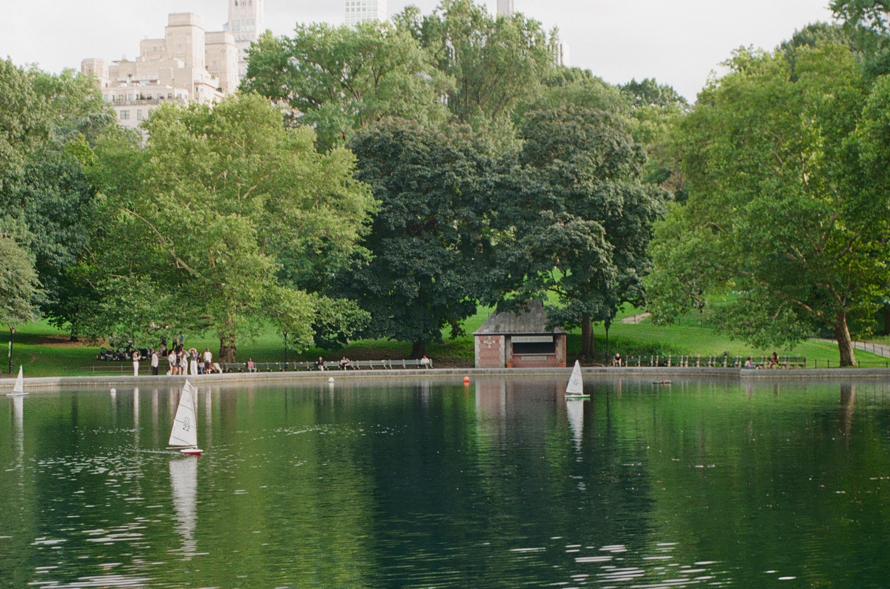 Lake and trees in Central Park