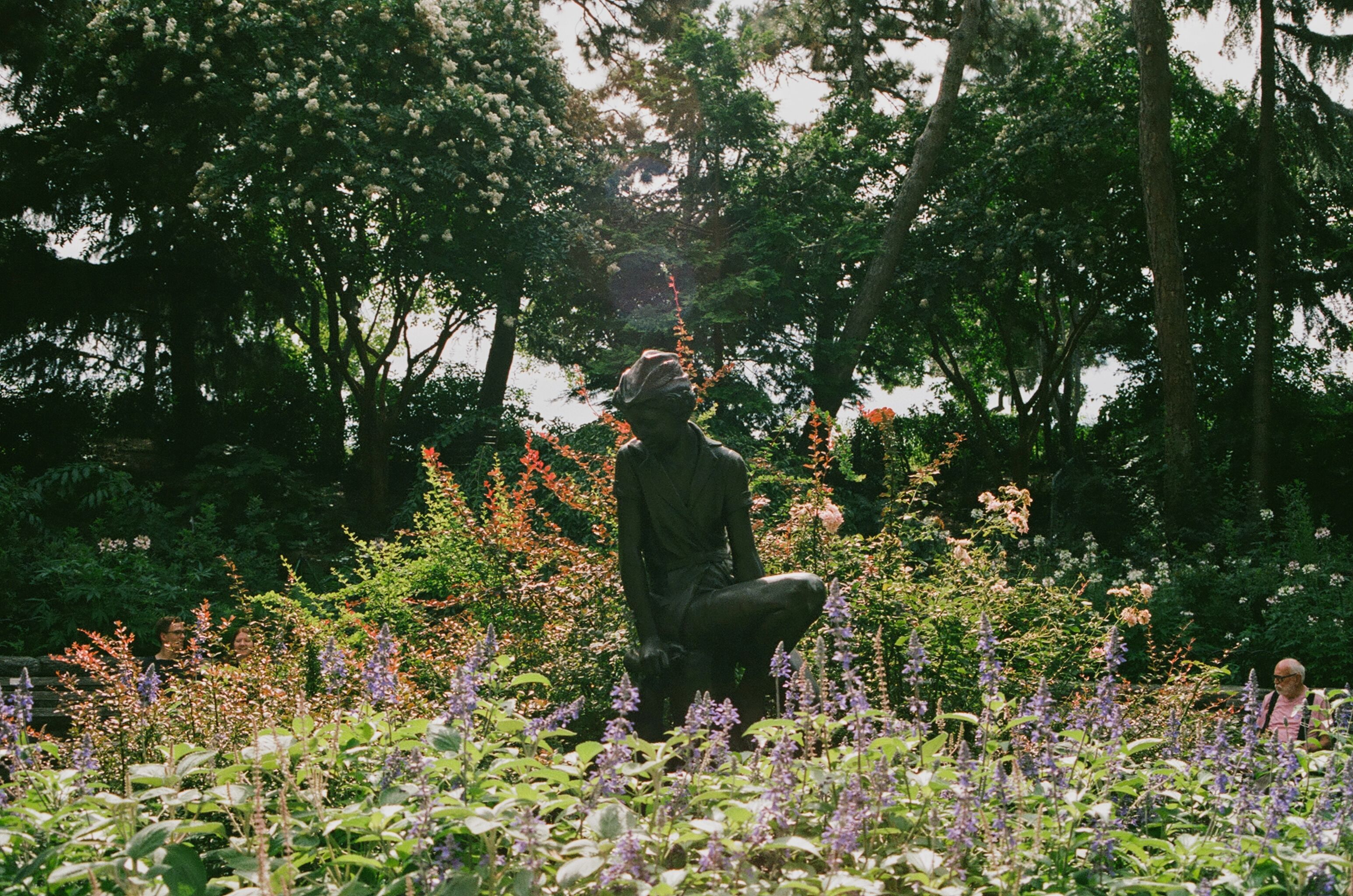 Figure partially hidden among flowers and trees