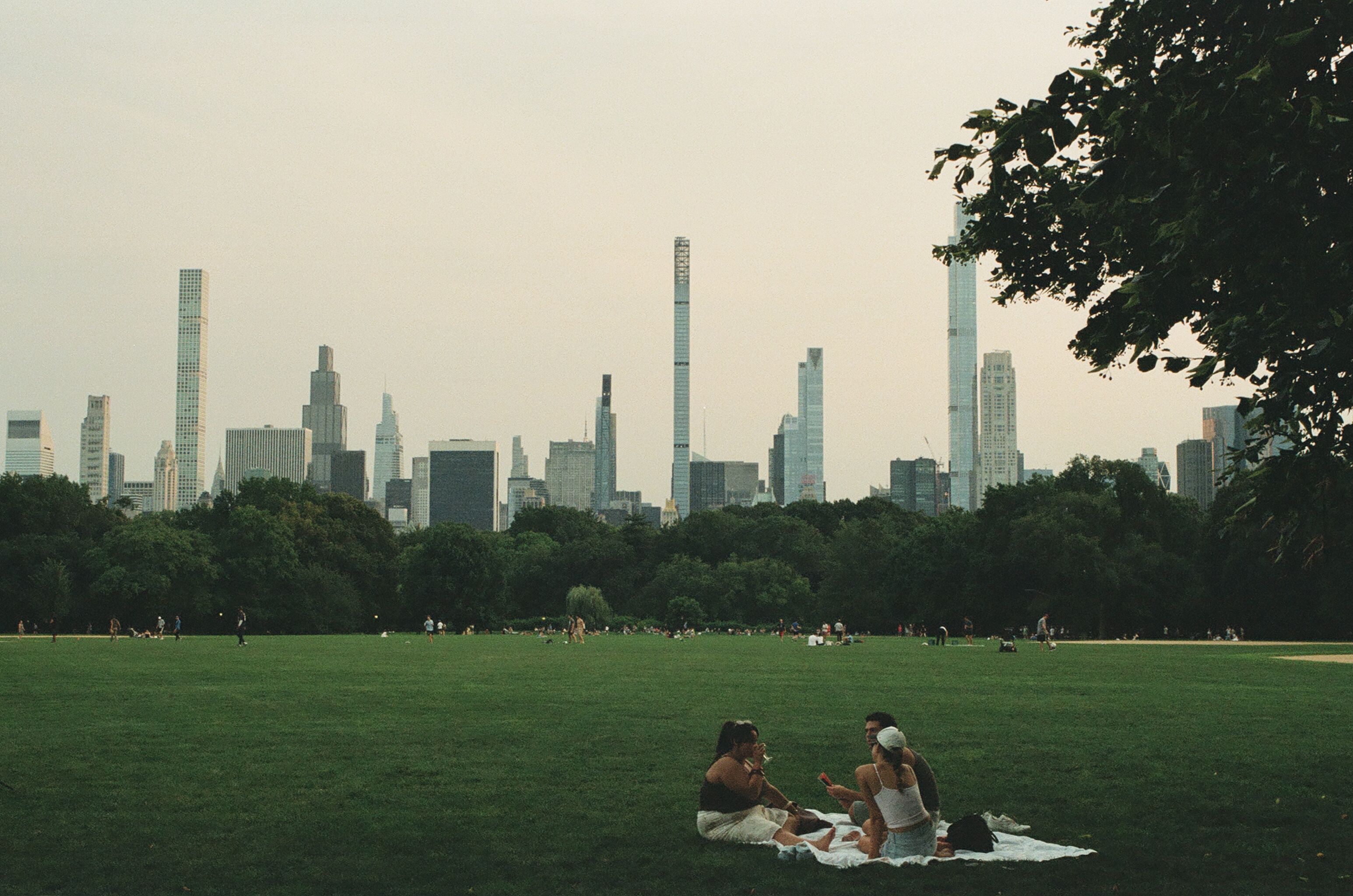 People relaxing on a lawn beneath the Manhattan skyline