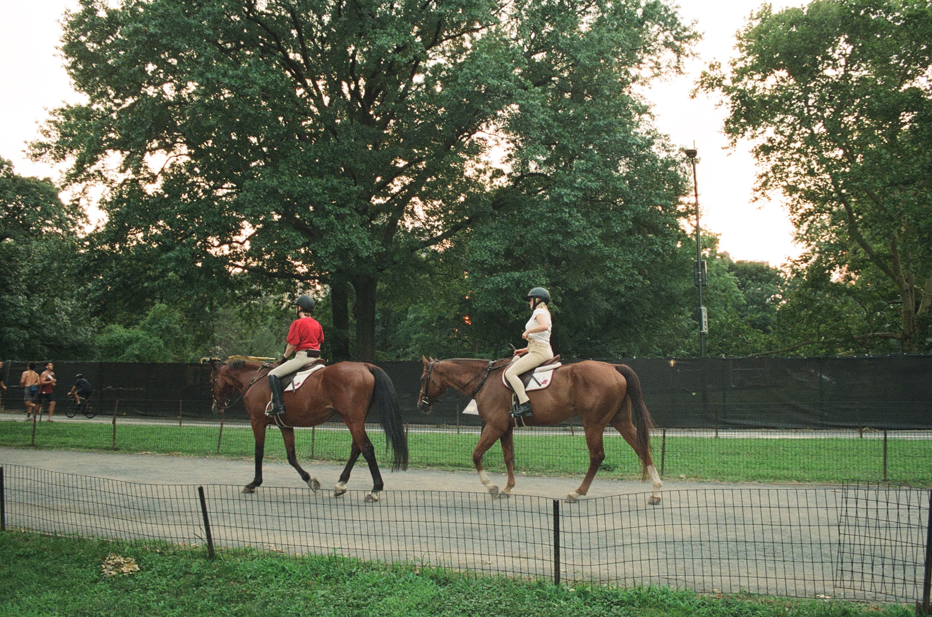 Two horseback riders passing through the park