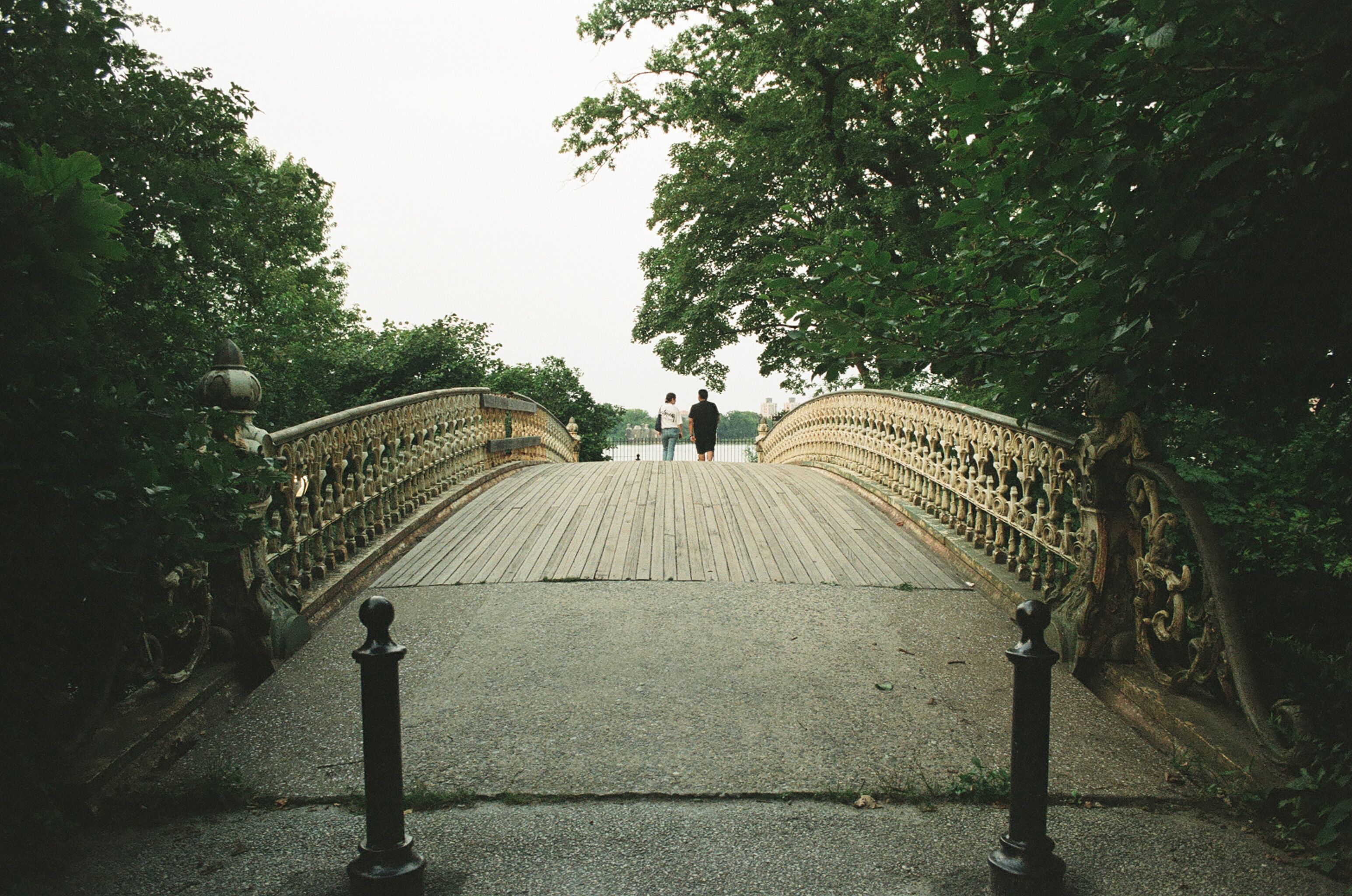 Bow Bridge rising through Central Park