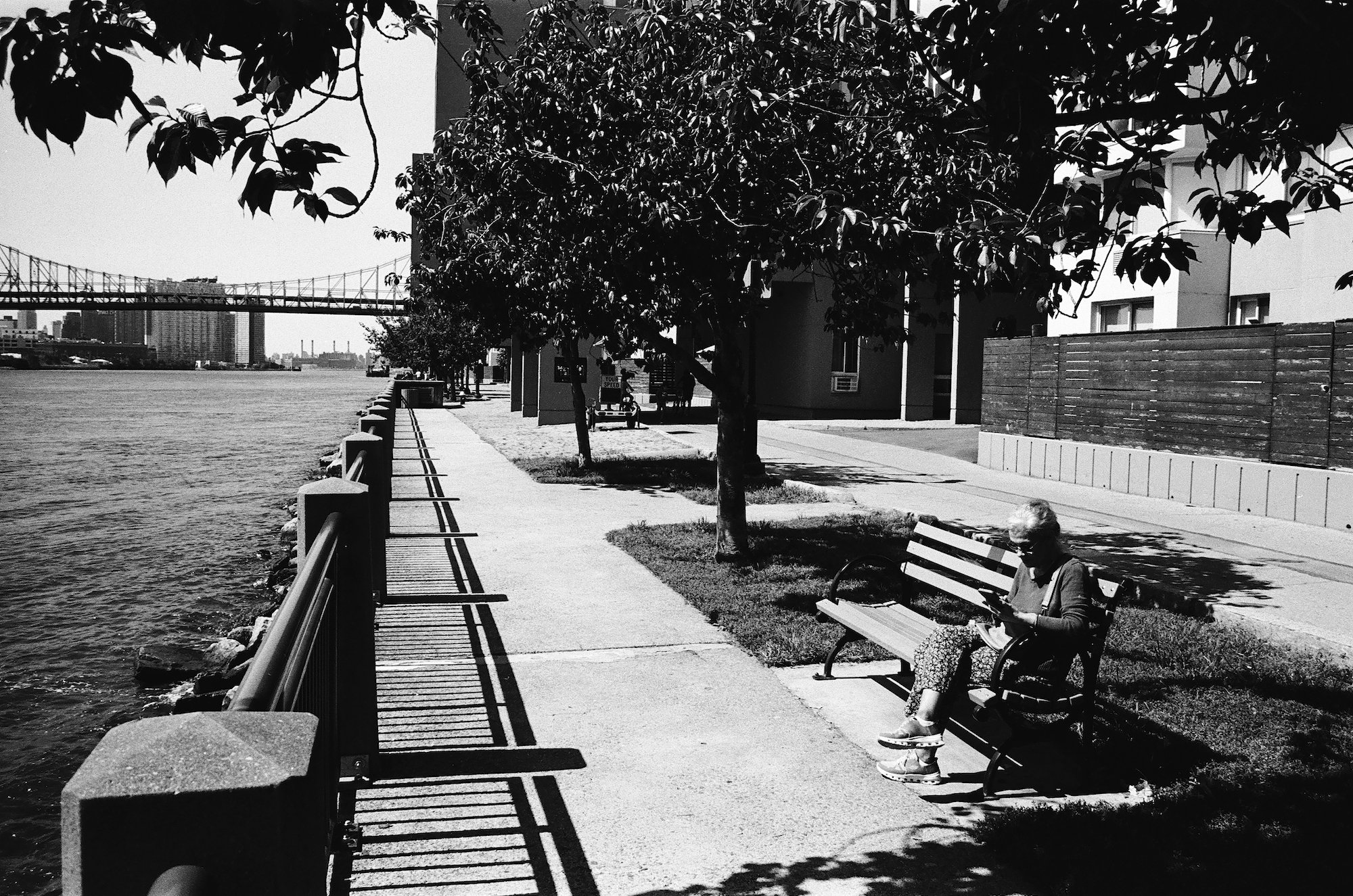 Woman seated along the Roosevelt Island waterfront beneath the bridge