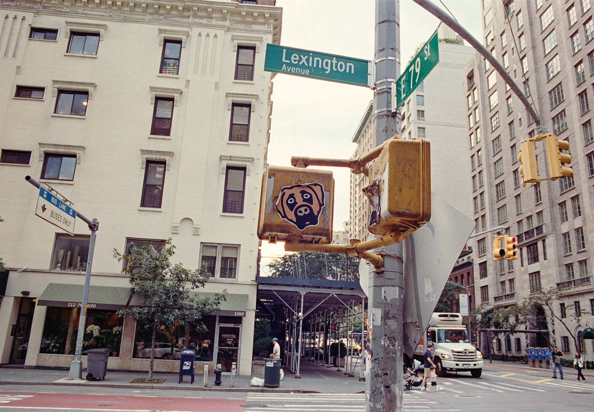Pug sticker on a battered pedestrian signal at Lexington Avenue and East 79th Street
